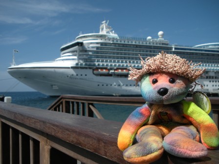 tequila bear with cruise ship